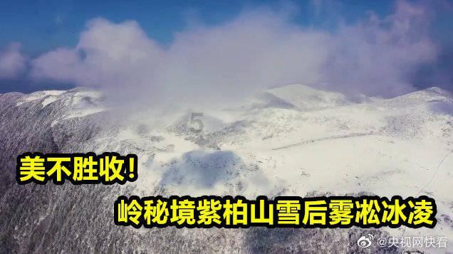 战僵特警